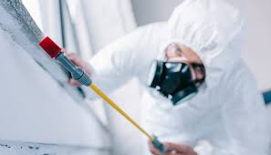 Emergency Pest Control Services in River Falls, WI